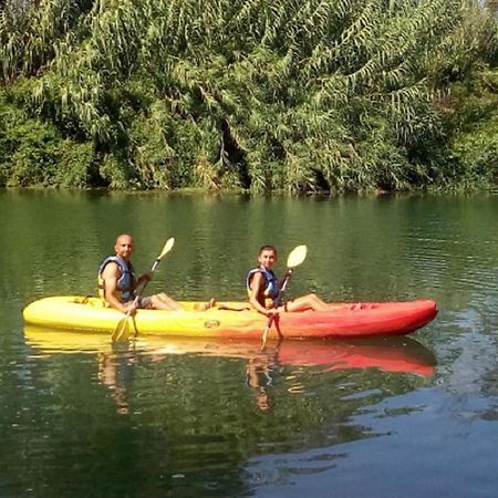 Willa Les Cygnes Au Bord Du Loing Montigny-sur-Loing Zewnętrze zdjęcie
