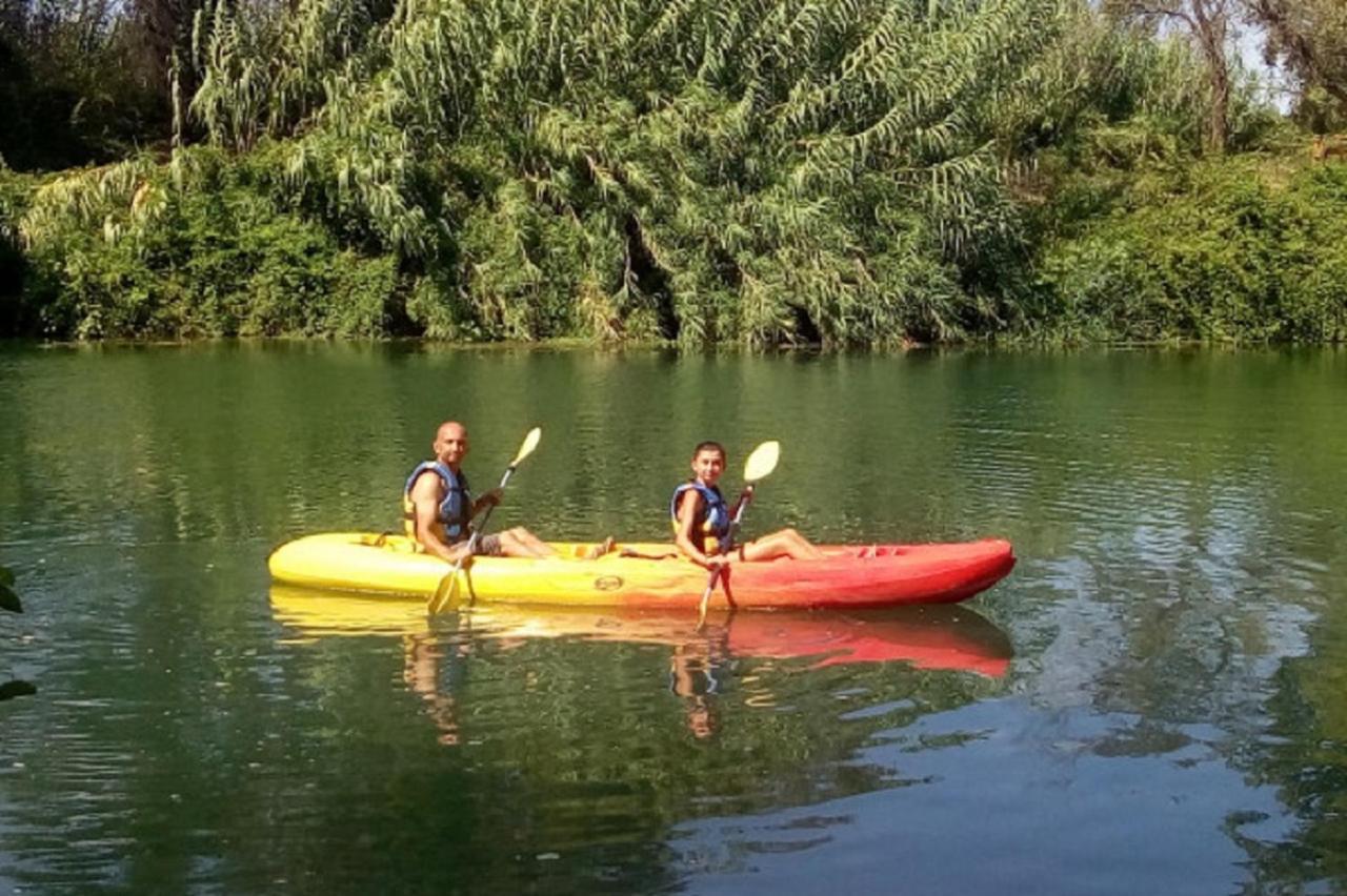 Willa Les Cygnes Au Bord Du Loing Montigny-sur-Loing Zewnętrze zdjęcie